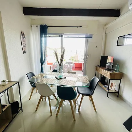 Appartement Avec Vue Sur Port, Climatisation, Parking Et Wi-Fi - Fr-1-723-169 Agde