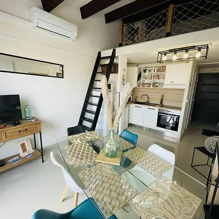 Appartement Avec Vue Sur Port, Climatisation, Parking Et Wi-Fi - Fr-1-723-169 Appartement Agde